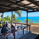 Customer Survey Terms & Conditions